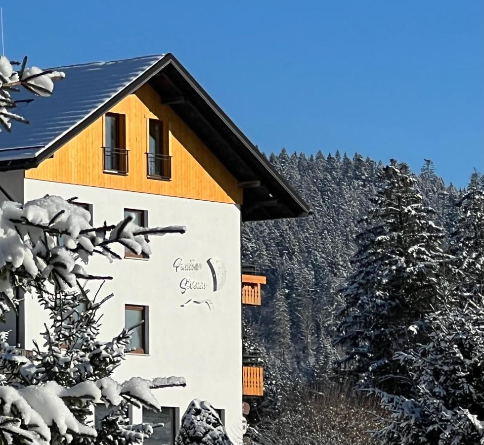Boutique Hotel And Apartments Pension Sternen Todtmoos Extérieur photo