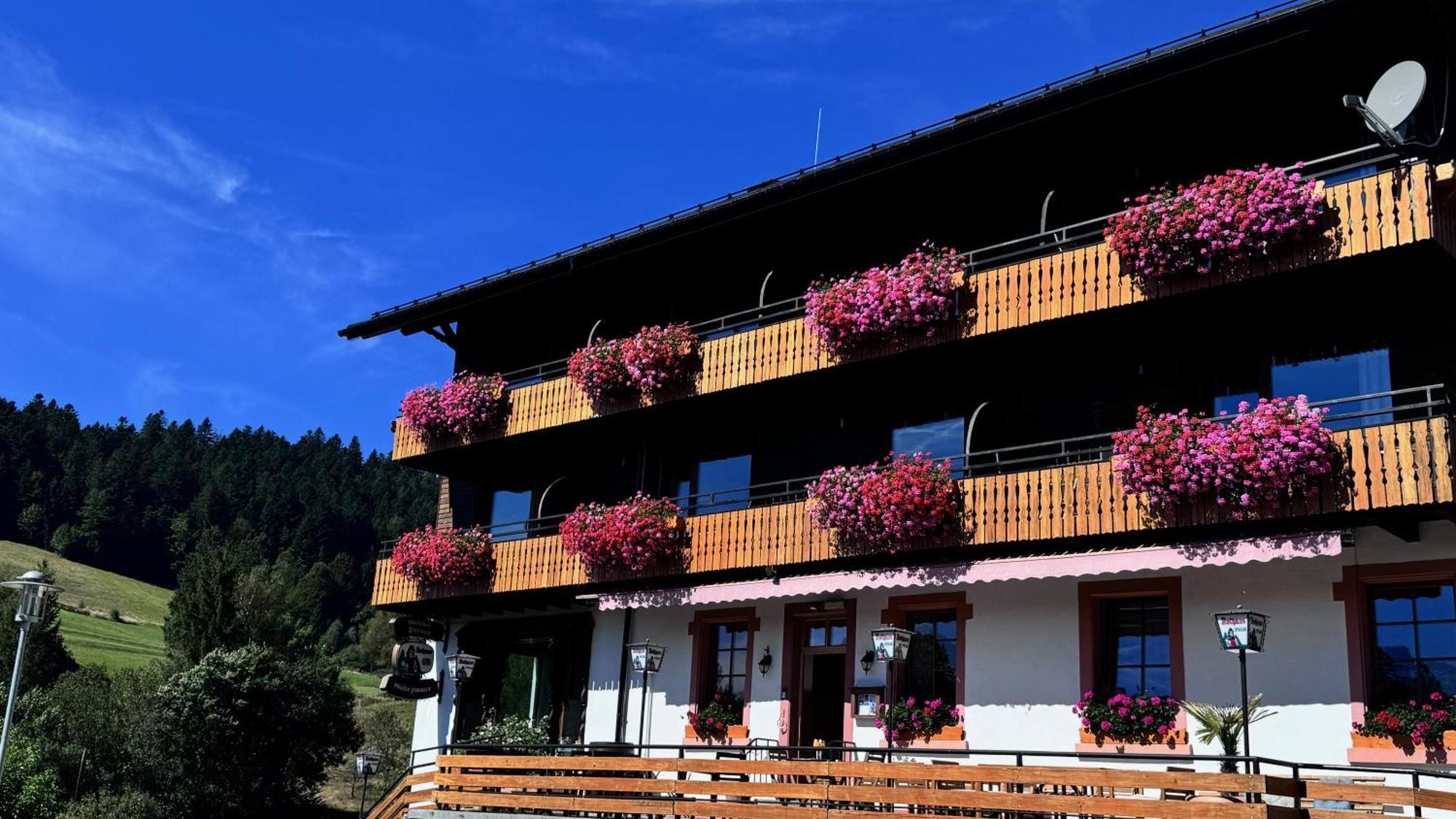 Boutique Hotel And Apartments Pension Sternen Todtmoos Extérieur photo