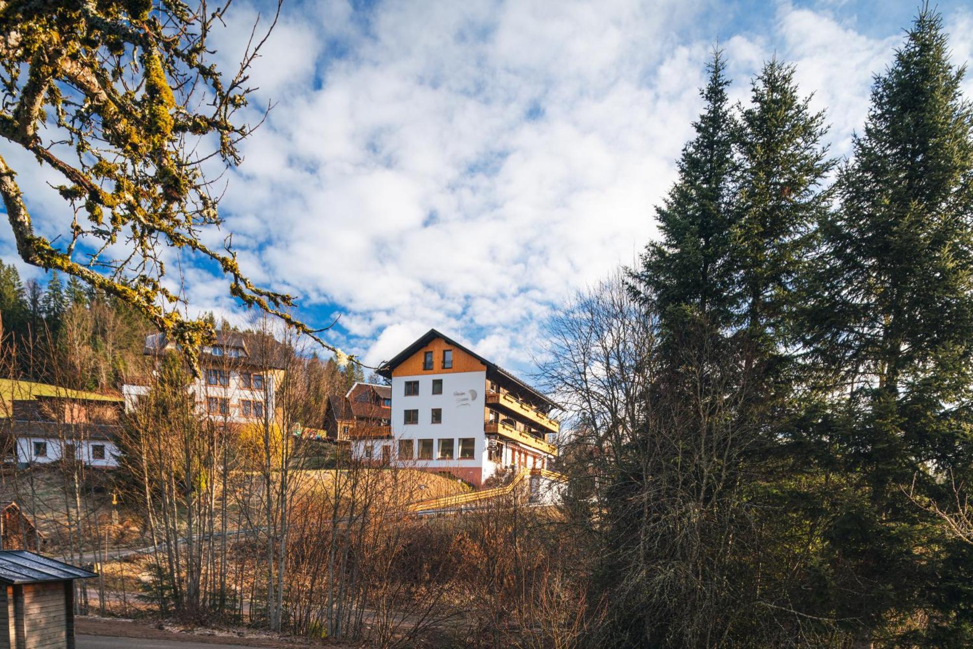 Boutique Hotel And Apartments Pension Sternen Todtmoos Extérieur photo